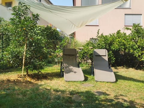 Garden, Garden view