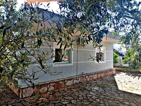 Property building, Garden, Garden view