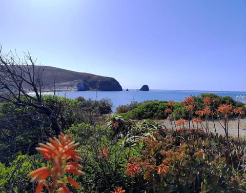 Natural landscape, Sea view