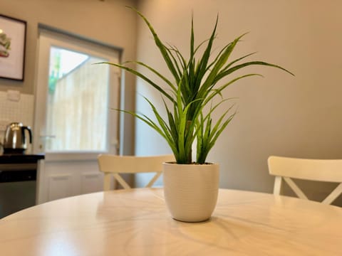 The Urban Oasis - Great location near Pubs, Restaurants and more! Bus links on doorstep Apartment in Belfast