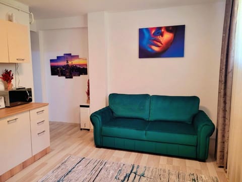 Nico Studio Apartment in Craiova