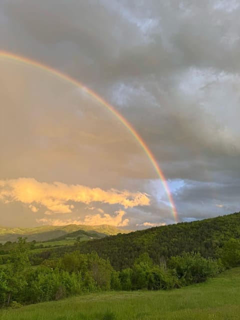 Cottage, relax nella natura, colline, parcheggio, Wifi House in Emilia-Romagna