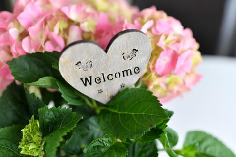 Dinkelbach Traumblick 3 E Apartment in Vorarlberg, Austria