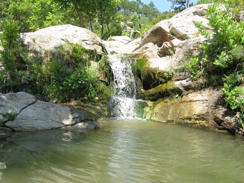Studios Evrika Apartment in Thasos