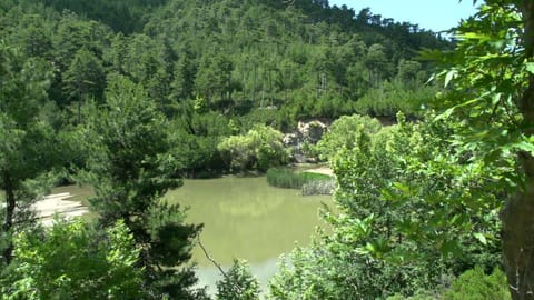 Studios Evrika Apartment in Thasos