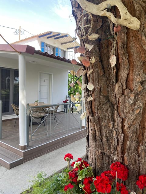 Property building, Patio, Day, Garden, Garden, View (from property/room), Balcony/Terrace