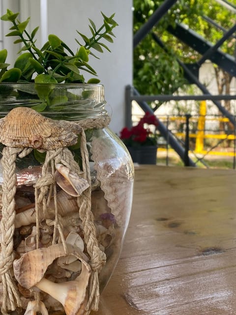 Day, Garden, Garden view