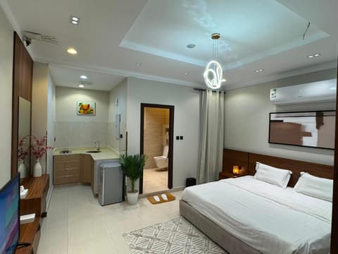 Bed, TV and multimedia, Kitchen or kitchenette, Photo of the whole room, Bedroom, wardrobe