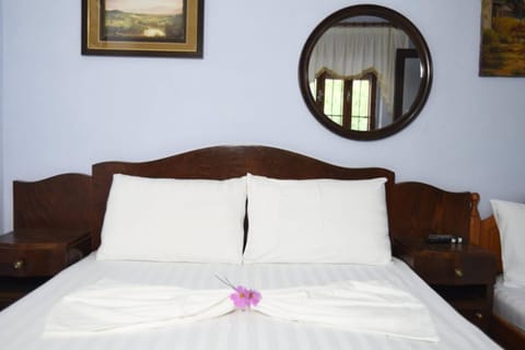 Taverna Hotel Iliri - Dardhe Country House in North Macedonia