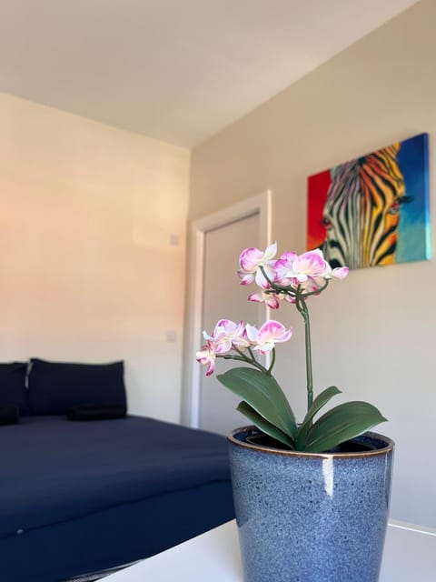 Photo of the whole room, Decorative detail, Bedroom