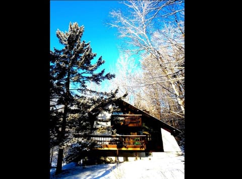 Cozy Cabin Rental with Fireplace near Killington Mountains in Vermont Cabin in Pittsfield