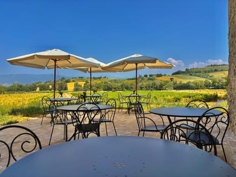 Garden, Breakfast, Continental breakfast