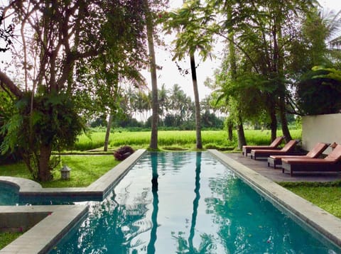 Natural landscape, Garden, Garden view, Pool view, Swimming pool, sunbed