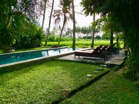 Natural landscape, Garden, Garden view, Pool view, Swimming pool, sunbed