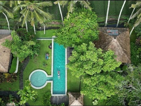 Natural landscape, Bird's eye view, Garden, Garden view, Pool view, Swimming pool