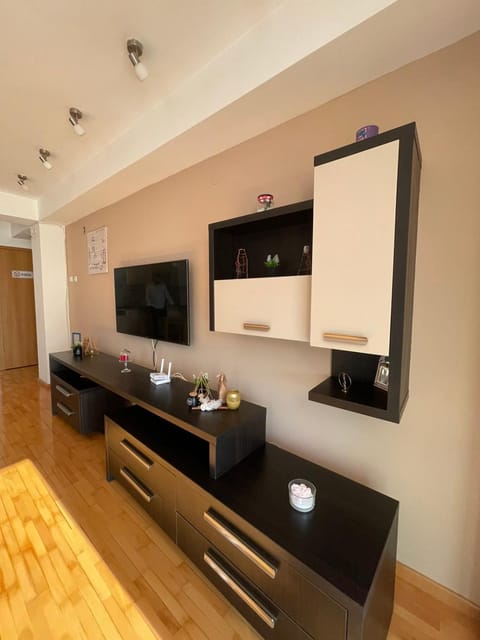 TV and multimedia, internet