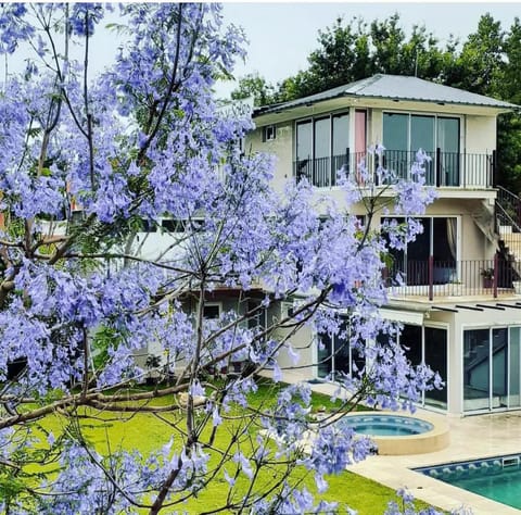 Garden, Swimming pool