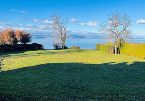 Day, Garden, Lake view