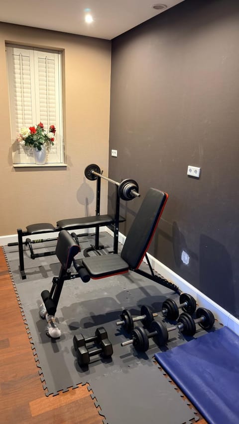 Modern and luxury vacation house, private Jacuzzi Villa in South Holland (province)