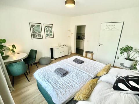 Central city apartment in Zurich! Apartment in Zurich City