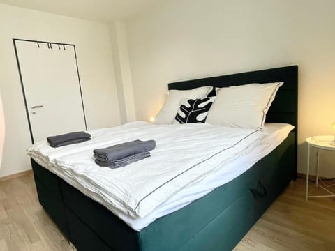 Central city apartment in Zurich! Apartment in Zurich City