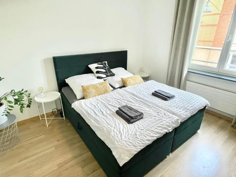 Central city apartment in Zurich! Apartment in Zurich City