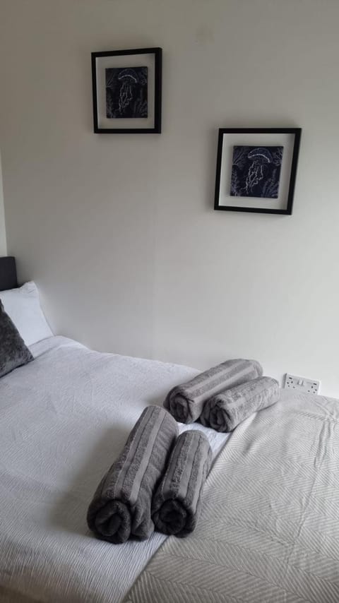 No 3 Waterloo Place Apartment in Welshpool