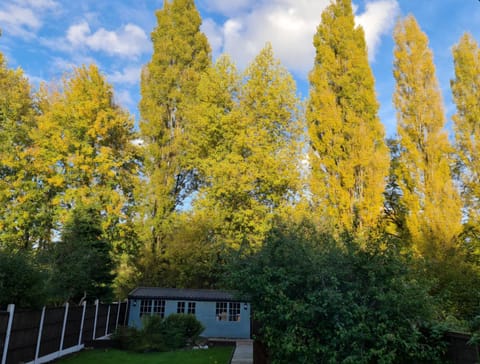 Natural landscape, Garden, Garden view