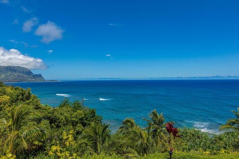 Pali Ke Kua 201 House in Princeville