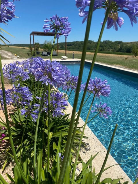 Day, Garden view, Pool view, Swimming pool