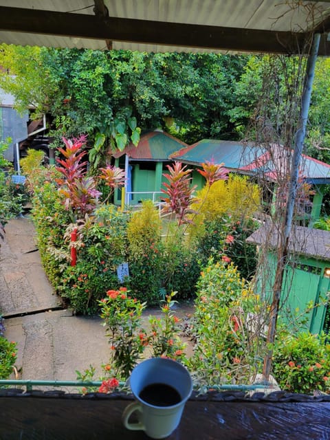 Garden view, Area and facilities