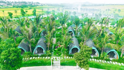Day, Natural landscape, Bird's eye view, Photo of the whole room