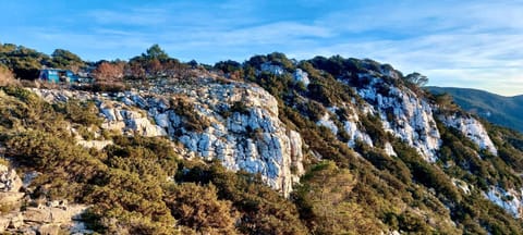 Karlson - you little Home on Wheels ! Luxury tent in Cologne