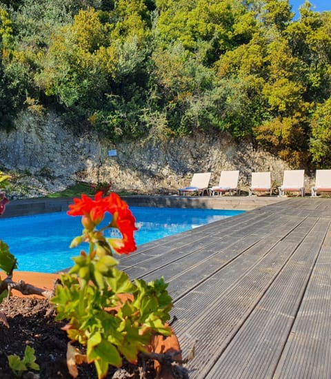 Natural landscape, Garden, Garden view, Pool view, Swimming pool