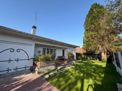Property building, Garden view