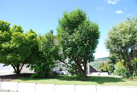 Villa am Buck Lörrach bei Basel Vacation rental in Riehen