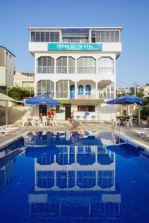 Garden, Pool view, Swimming pool