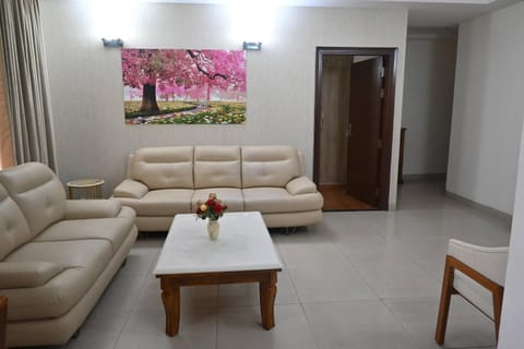 Living room, Decorative detail, air conditioner