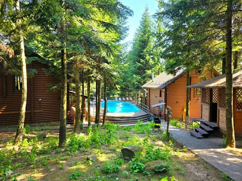 Spring, Pool view, Swimming pool