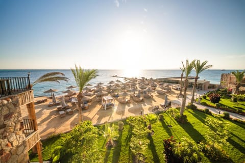 Natural landscape, Garden, Beach, Sea view