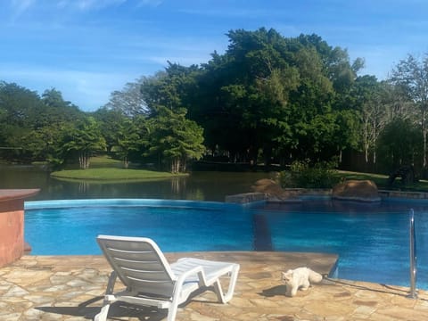 Garden, Swimming pool