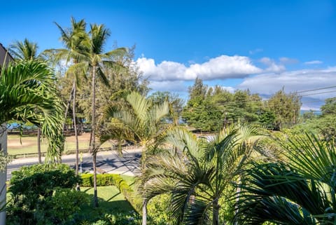 Haleakala Shores A403 by Coldwell Banker Island Vacations Apartment in Kamaole