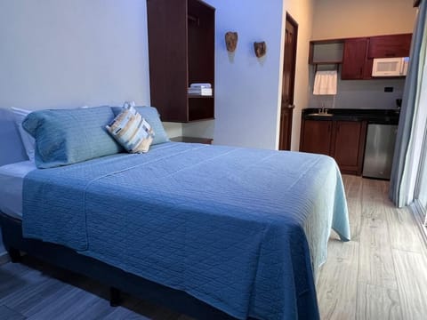 Bed, Photo of the whole room, Bedroom, minibar