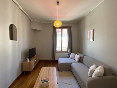 Appartement de charme au cœur du centre ville historique Apartment in Bourgogne-Franche-Comté