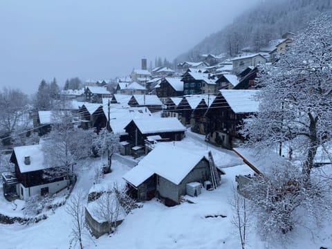 Ca da Viola, chalet alpino con sauna Chalet in Canton of Ticino