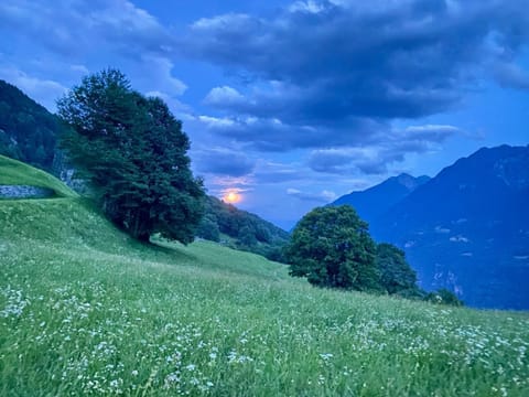 Ca da Viola, chalet alpino con sauna Chalet in Canton of Ticino