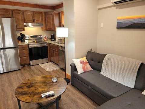 Charming Downtown Bryson City SkyLoft Apt 1 - Perfect for Couples! Apartment in Bryson City