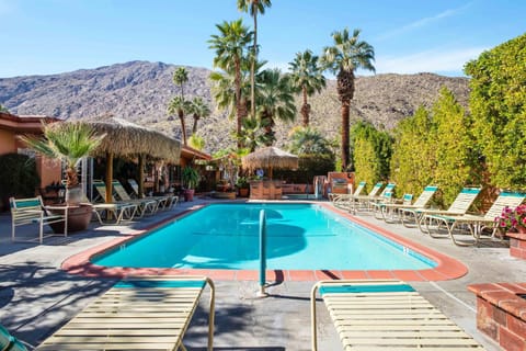 Coyote Inn - 21 and Over Inn in Palm Springs