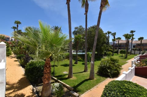 Day, Natural landscape, Garden, Garden view