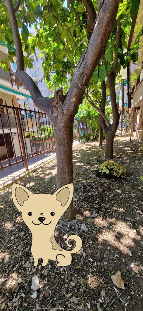 Garden, Garden, pet friendly